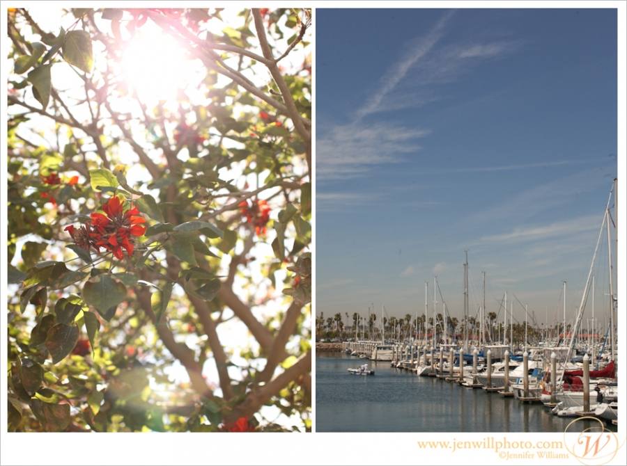 sanpedro-wedding-3268pp_w900_h670