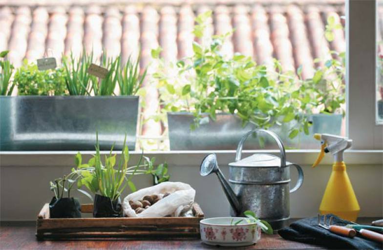 cc-0574-132-hortas-apartamento-01