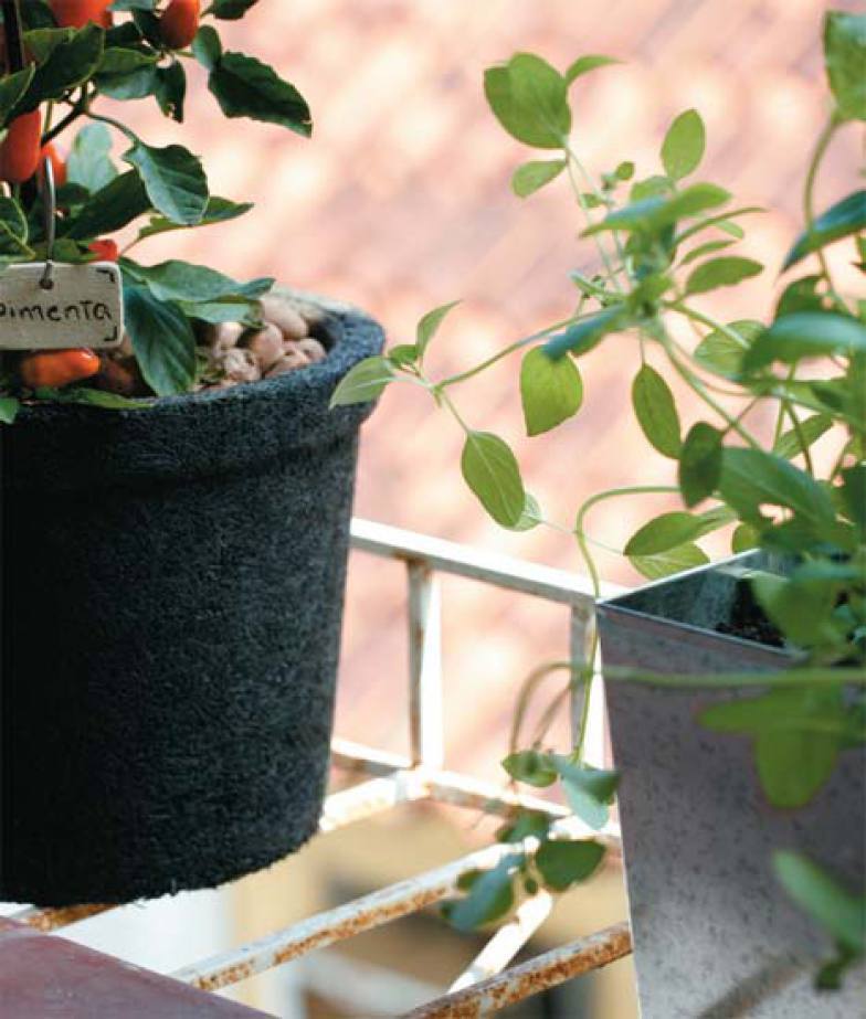 cc-0574-132-hortas-apartamento-02