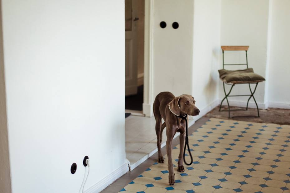 freunde-von-freunden-magnus-reed-4381