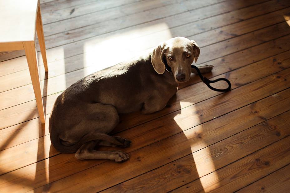 freunde-von-freunden-magnus-reed-4422