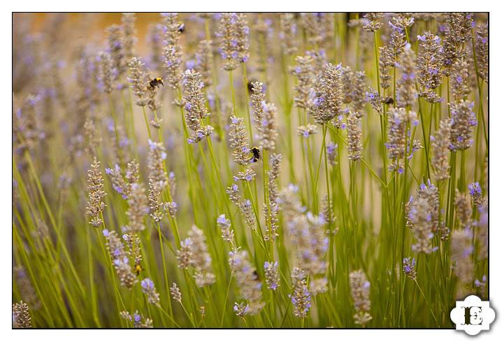 Portland Gay wedding and commitment ceremony