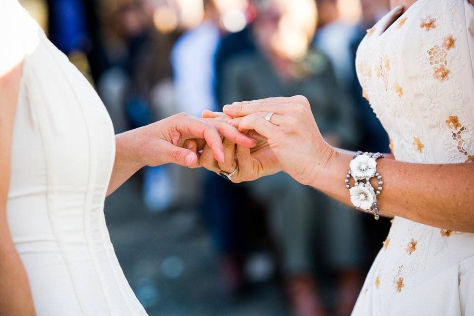 tracey-tracys-calimonia-farmhouse-lesbian-wedding_0015