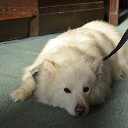 6391358273_1bb6c2a329